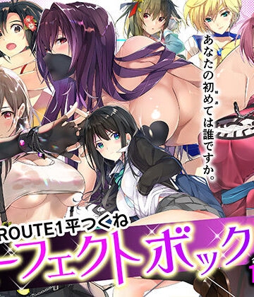 ROUTE1❤ROUTE1 平つくね パーフェクトボックス｜評価5.00