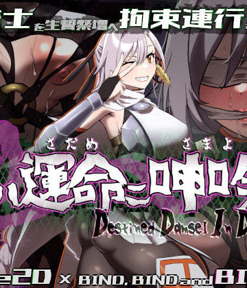 エーギグ・エーレ・ファウンデーション❤姫ハ運命ニ呻吟ヘリ Destined Damsel In Distress｜評価3.00