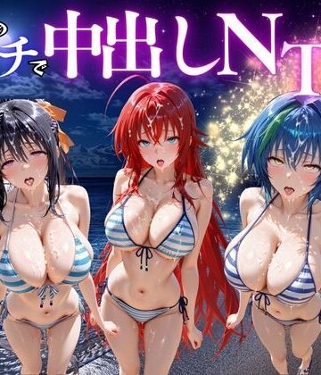 ポコポコ❤夜のビーチで中出しNTR ハ〇スクールD×D編｜評価
