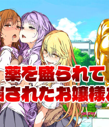 アニメイマジン❤薬を盛られて洗脳されたお嬢様たち｜評価