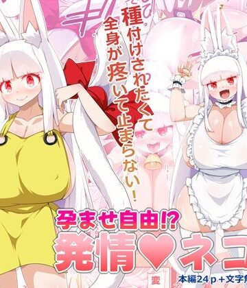 らいでんらぼ❤孕ませ自由！？発情ネコ娘｜評価
