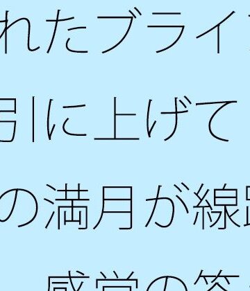 サマールンルン❤壊れたブラインドを強引に上げて・・・夜の満月が線路の真上 感覚の答えはどこに・・｜評価