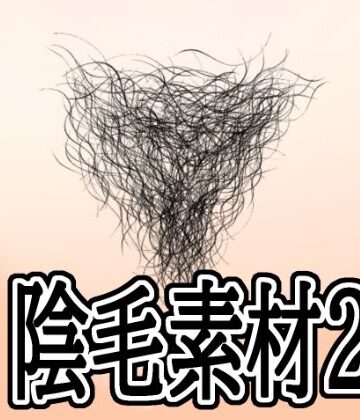 水の木❤陰毛素材2｜評価