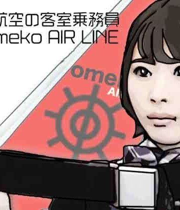 あいうえ男❤オメ航空の客室乗務員｜評価