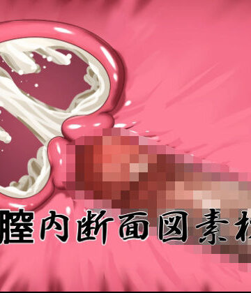 水の木❤膣内断面図素材2｜評価