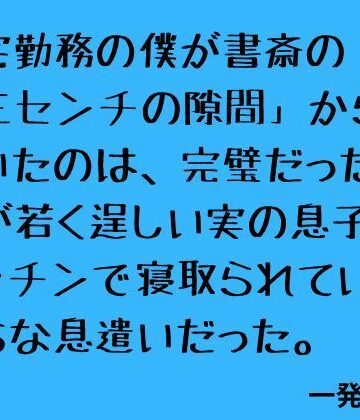 一発書房❤在宅勤務の僕が書斎の「三センチの隙間」から聞いたのは、完璧だった妻が若く逞しい実の息子にキッチンで寝取られていく淫らな息遣いだった。｜評価