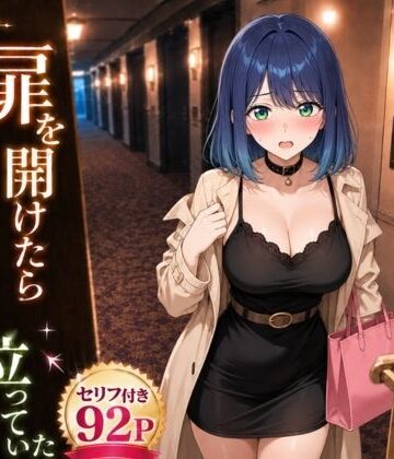 ヒロインパラダイス❤扉を開けたらあ〇ねが立っていた｜評価