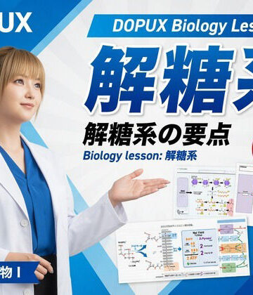 Libido-Labo❤【▲20】一ノ瀬廻里 大学に進学し強豪予備校『DOPUX（ドピュックス』で生物I，IIを教える名物講師に！（Vol.021:解糖系）｜評価