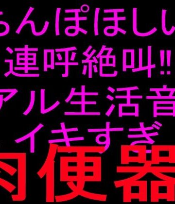 絶頂ひとりオナ子❤ちんぽほしい連呼絶叫！！リアル生活音でイキすぎ肉便器！！｜評価