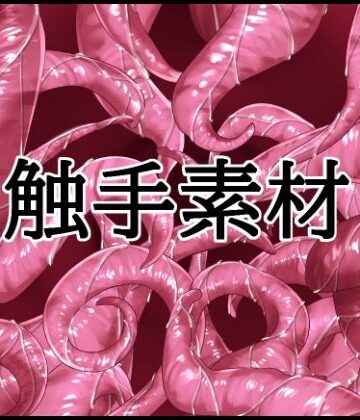 水の木❤触手素材｜評価