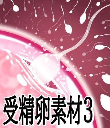 水の木❤受精卵素材3｜評価