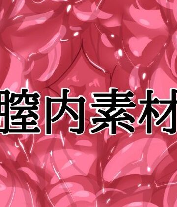 水の木❤膣内素材｜評価