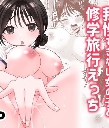 味噌煮込み太政大臣❤オナニーが我慢できない女の子と修学旅行えっち｜評価