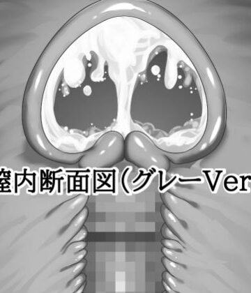 水の木❤膣内断面図素材（グレーVer.）｜評価