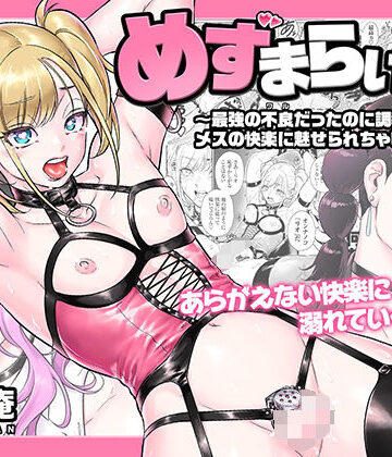 所帯庵❤めずまらいず〜最強の不良だったのに調教されてメスの快楽に魅せられちゃいました〜｜評価