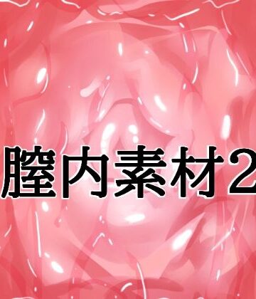 水の木❤膣内素材2｜評価