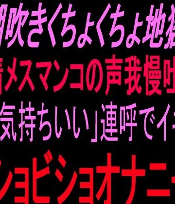絶頂ひとりオナ子❤潮吹きくちょくちょ地獄！！発情メスマンコの声我慢吐息！！小声「気持ちいい」連呼でイキ狂うビショビショオナニー！！｜評価