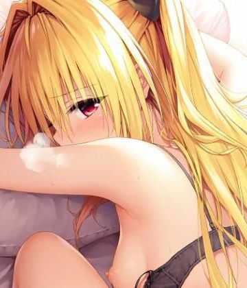 とらっぶる❤R18イラスト集（12枚） やみ｜評価