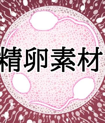 水の木❤受精卵素材10｜評価