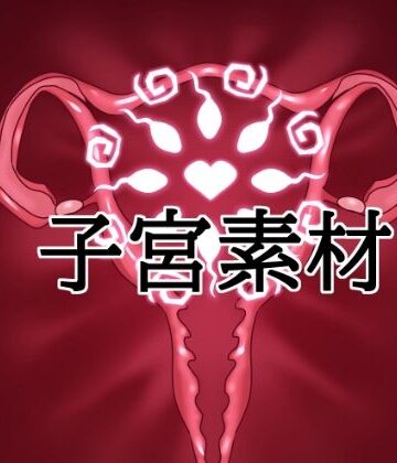 水の木❤子宮素材｜評価