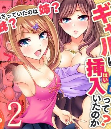 ヌキ忍❤何故、停電したら俺の先っぽがギャルに入っていたのか？〜刺さっていたのは姉？妹？〜【同人版】2｜評価